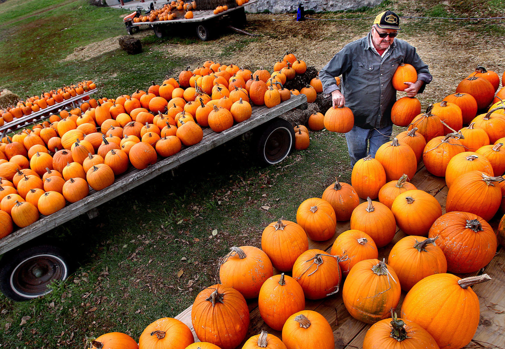 Pumpkins.jpg